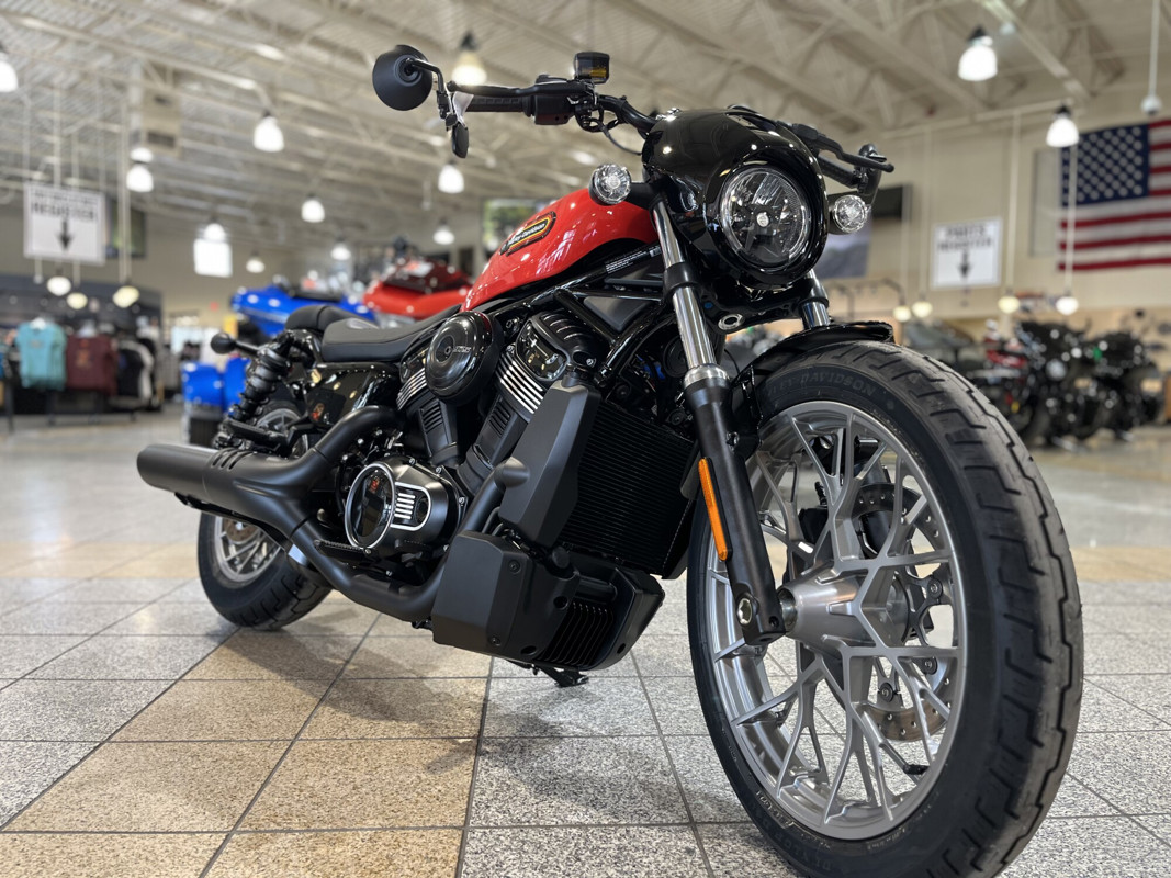 Nightster Special
