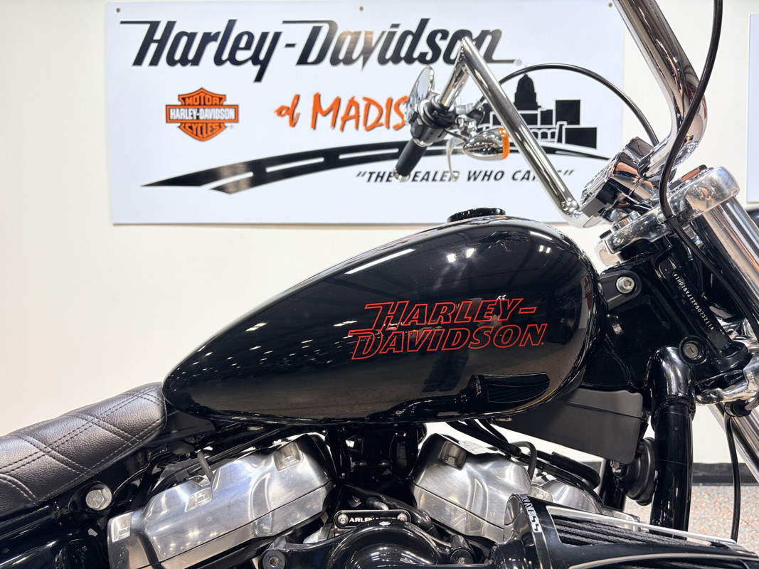 Softail® Standard
