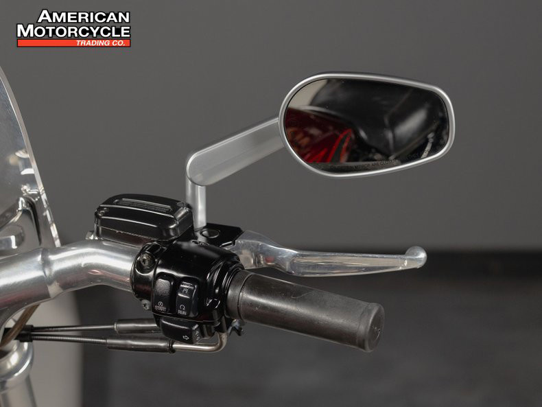 V-Rod® Muscle