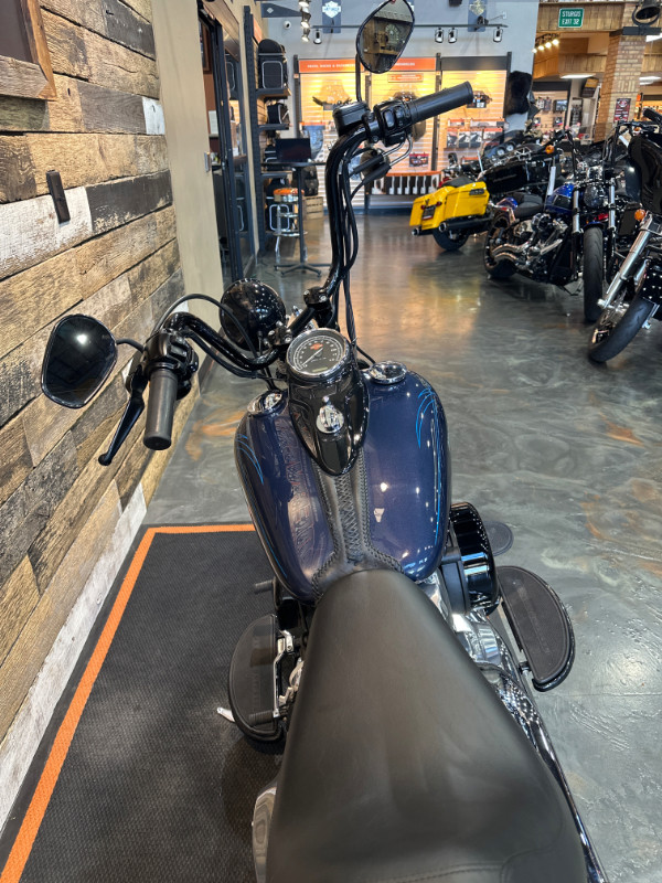 Softail® Cross Bones®