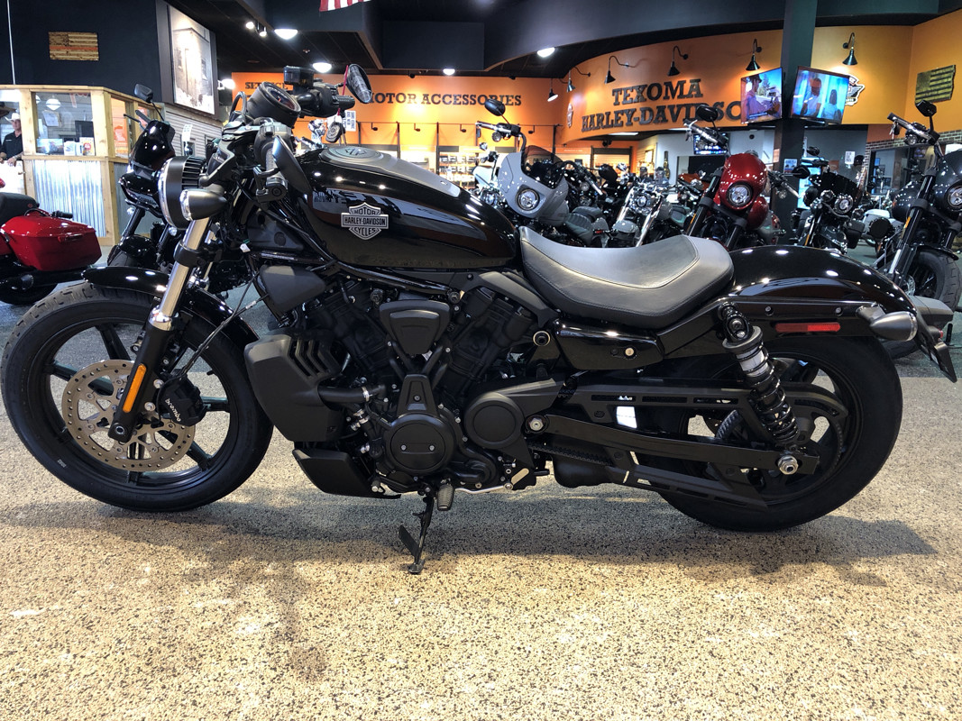Nightster