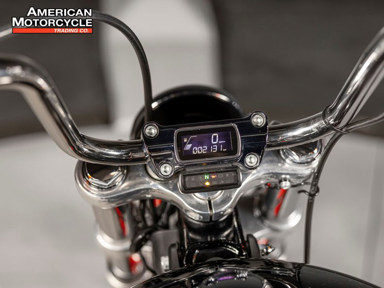 Softail® Standard