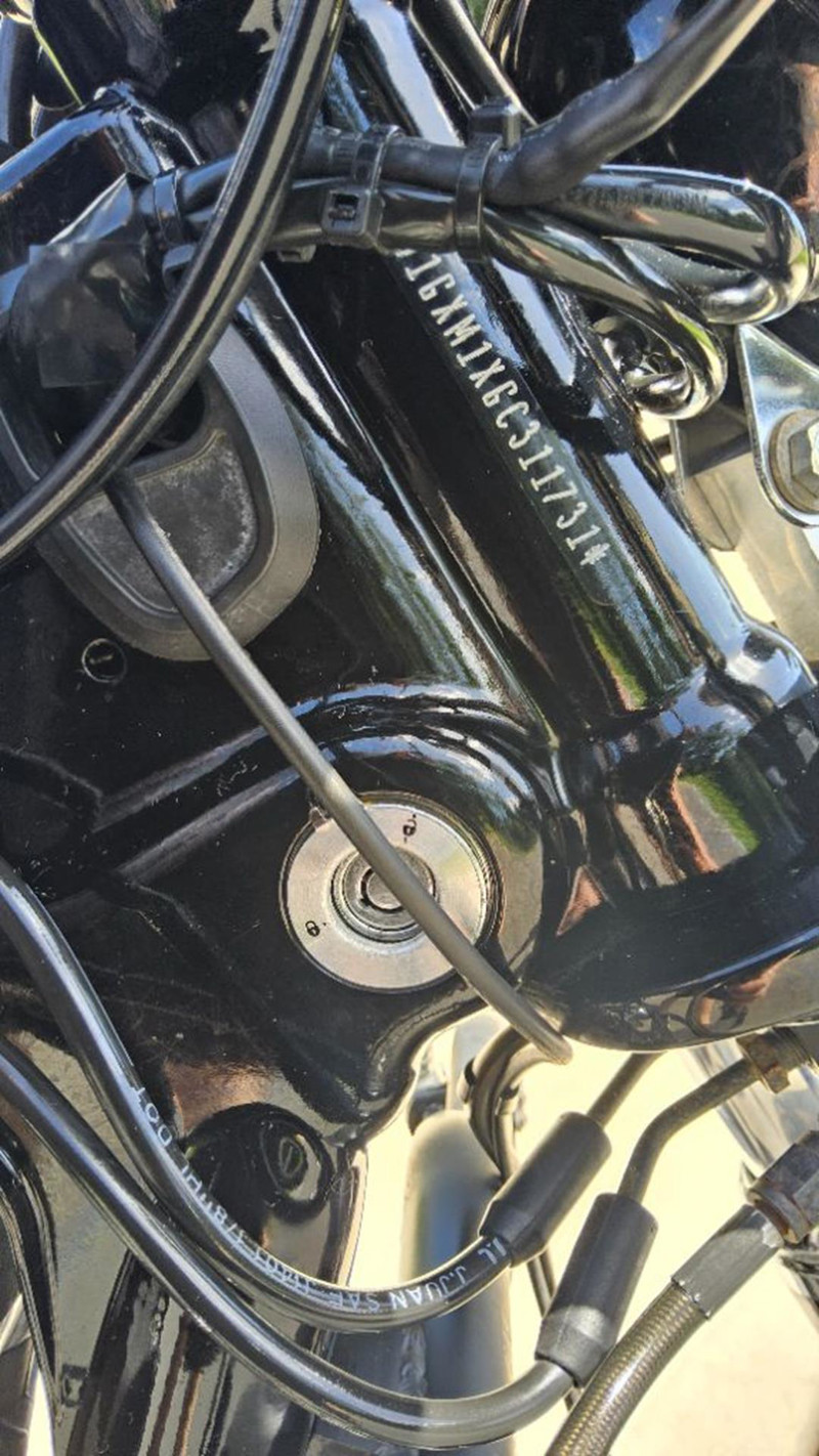 Dyna® Street Bob®