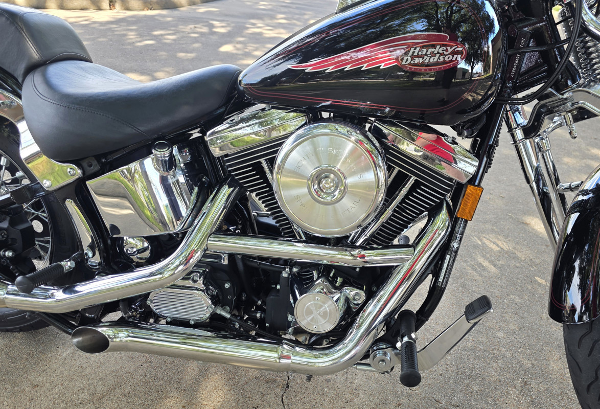 Springer® Softail®