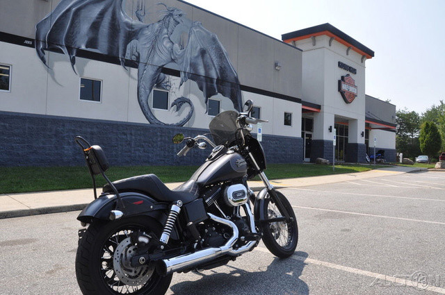 Dyna® Street Bob®
