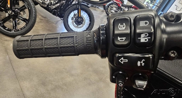 Road Glide® Special