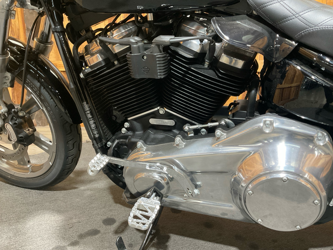 Softail® Standard