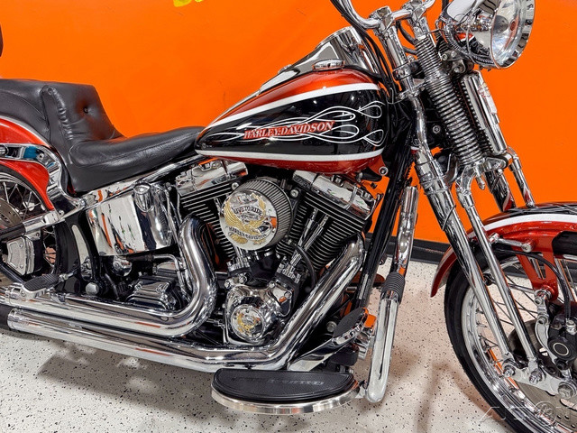 Softail® Springer® Classic