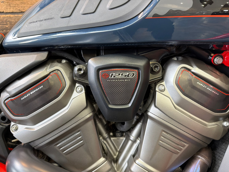 CVO® Pan America®