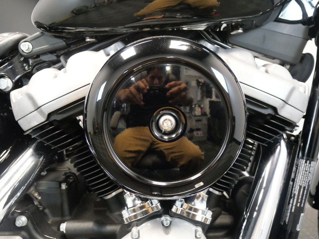 Softail® Standard