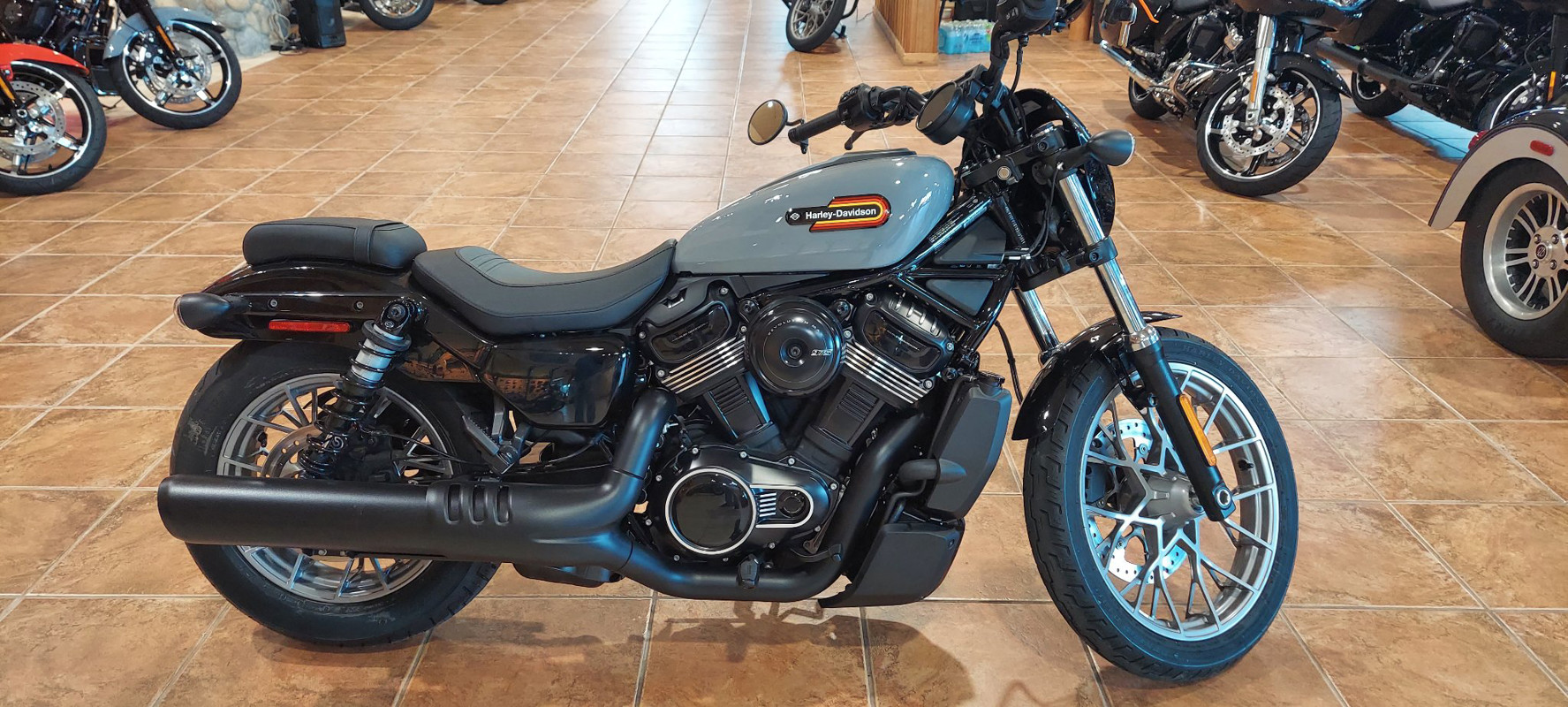 Nightster Special