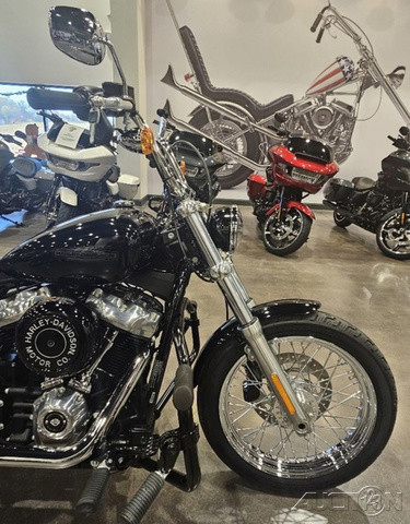 Softail® Standard