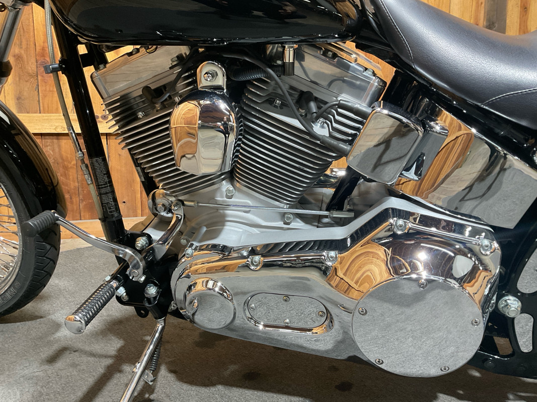Softail® Standard