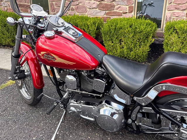 Softail® Custom