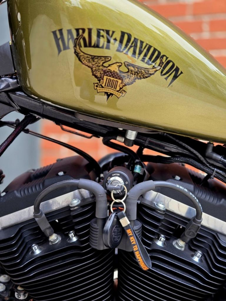 Sportster® Iron 883®