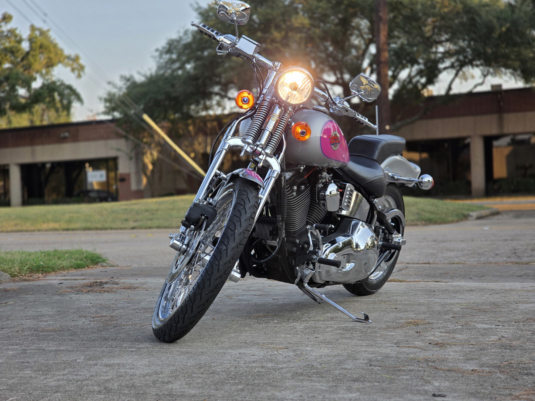 Springer® Softail®