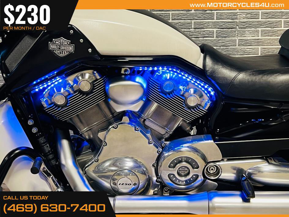 V-Rod® Muscle