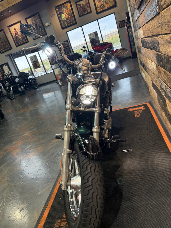 Sportster® 1200 Custom - H-D1 Factory Custom