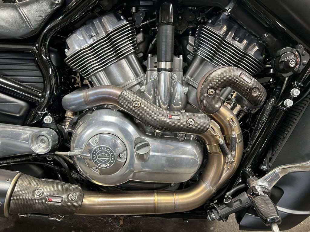 V-Rod® Muscle