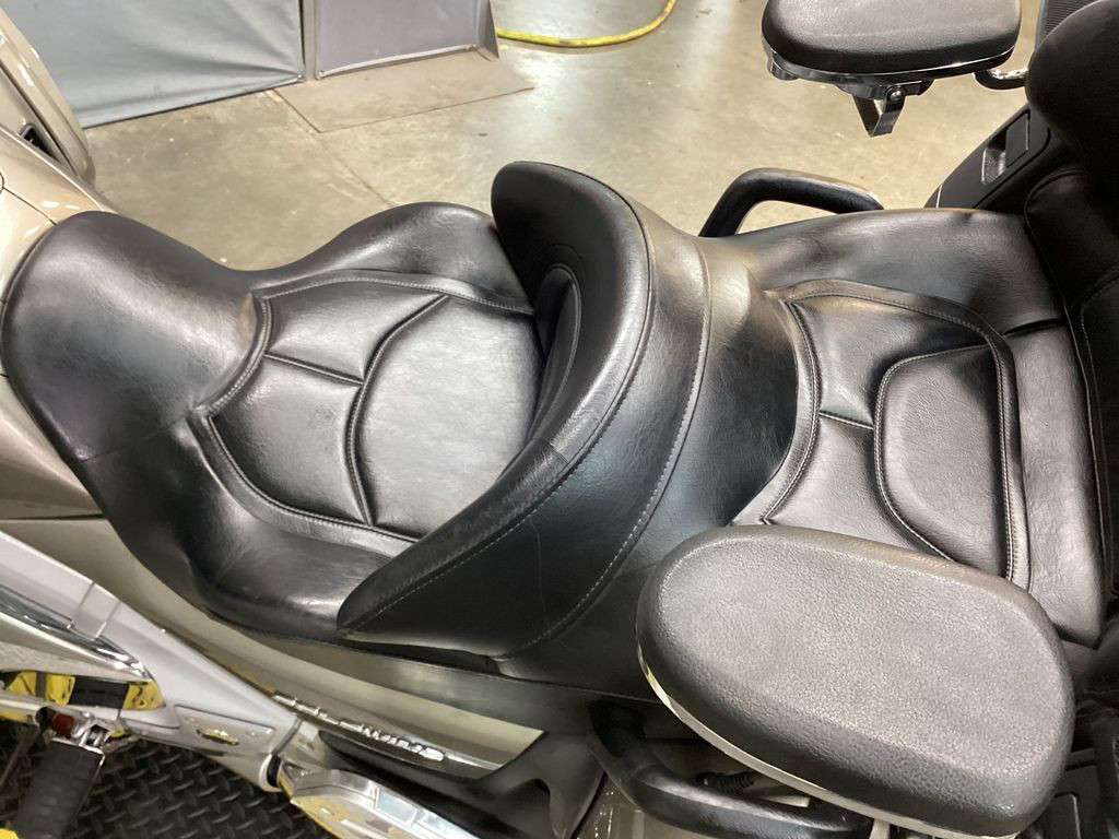 Gold Wing Airbag