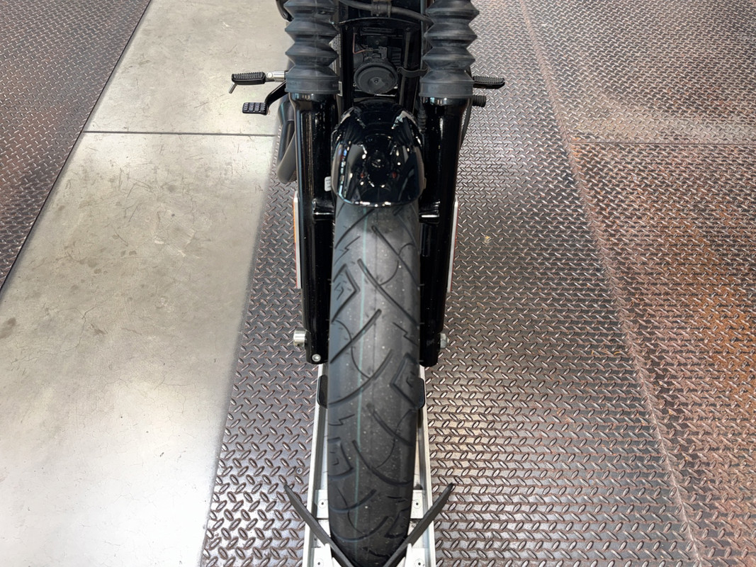 Iron 1200®