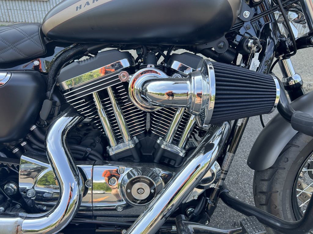 Sportster® 1200 Custom