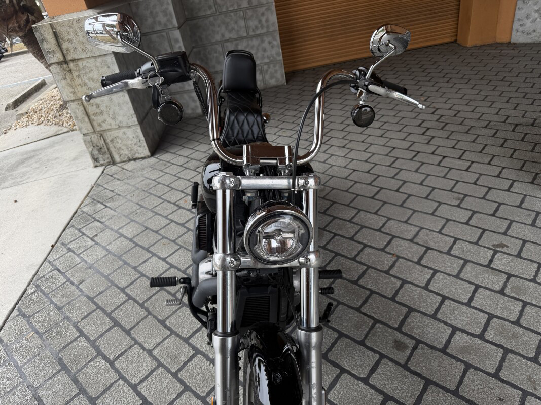 Softail® Standard