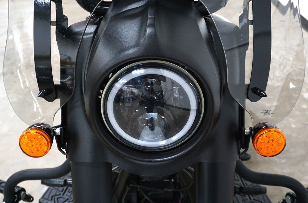 Springfield Dark Horse