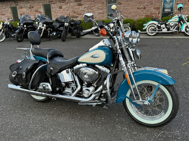 Springer® Softail®