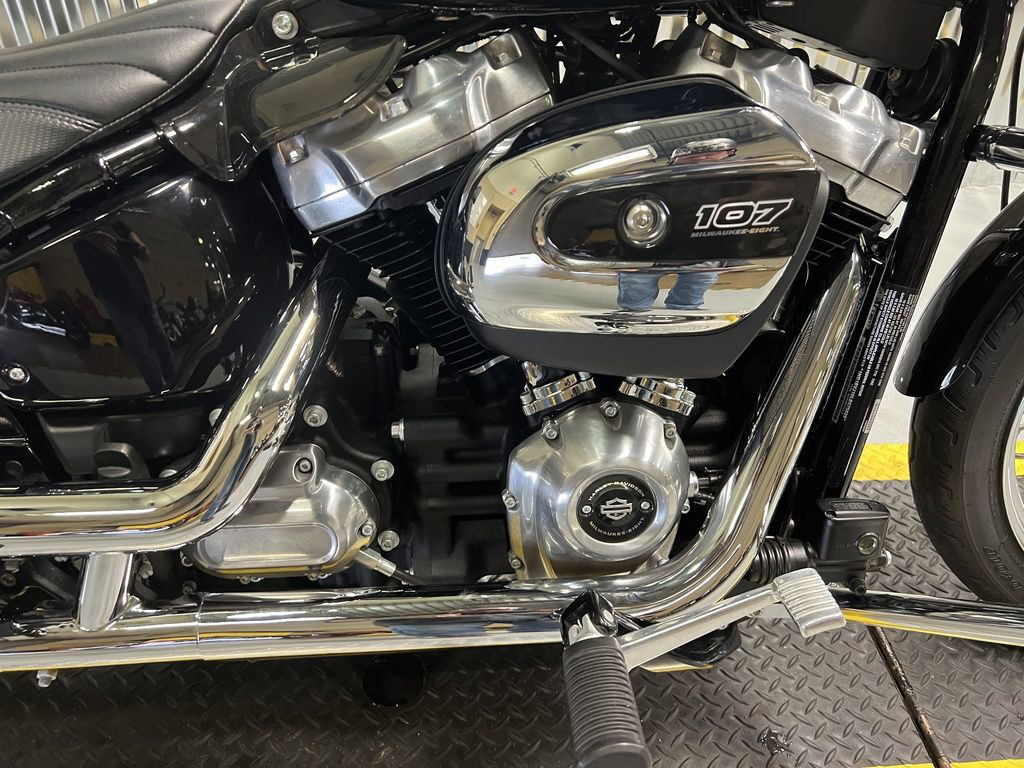 Softail® Standard