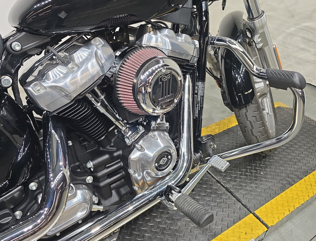 Softail® Standard