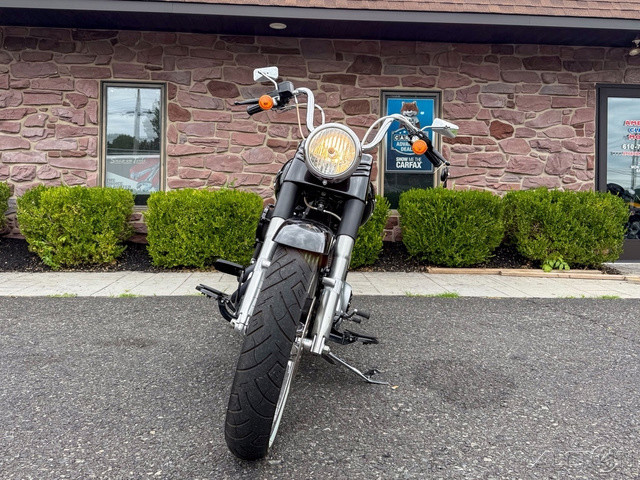 Softail® Fat Boy® Lo