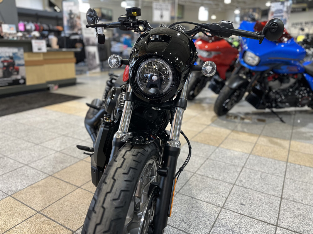 Nightster Special