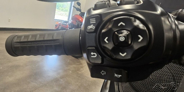 Road Glide®