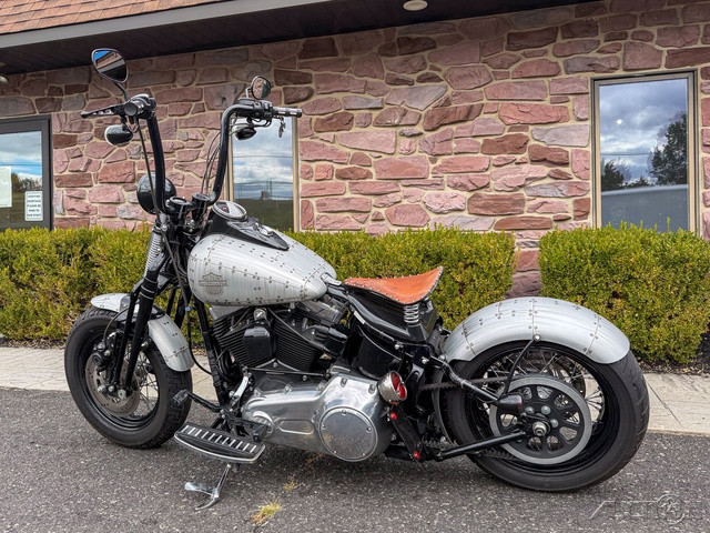 Softail® Cross Bones®