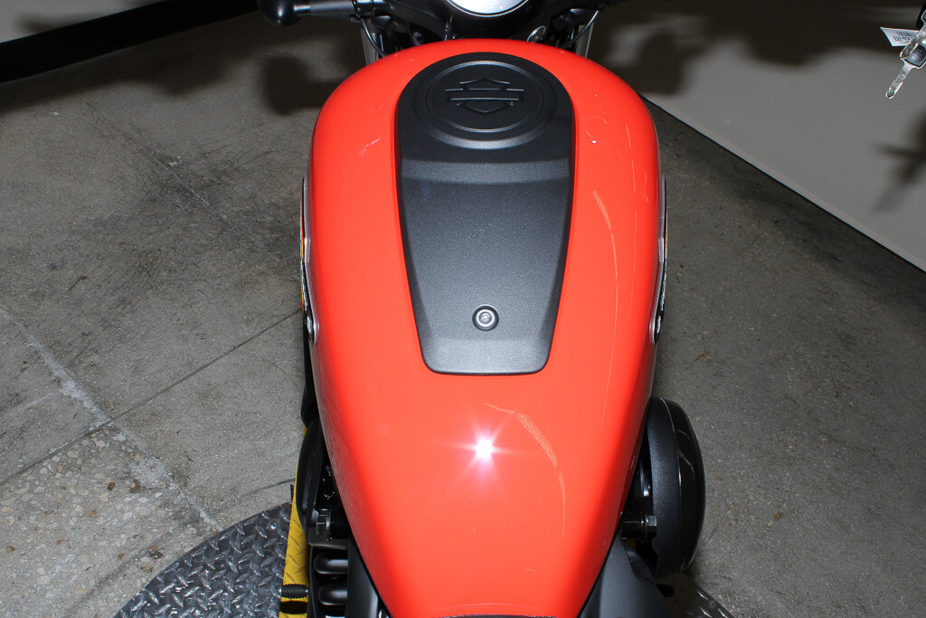Nightster Special