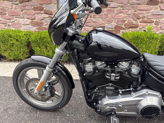 Softail® Standard