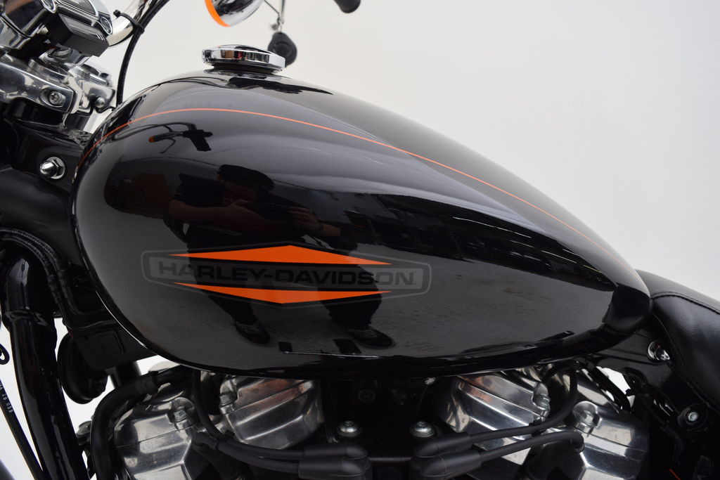 Softail® Standard
