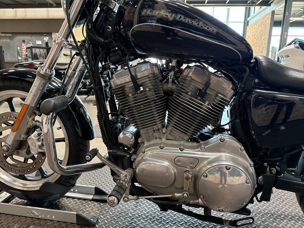 Sportster® SuperLow®