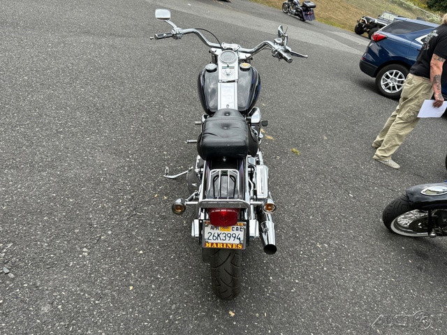 Softail® Custom