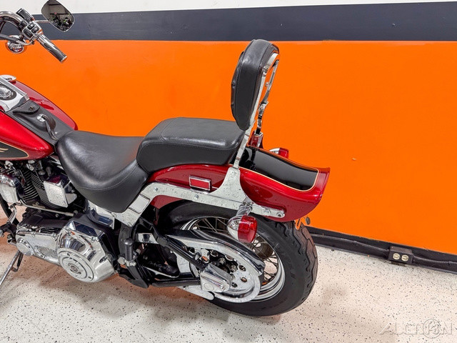 Springer® Softail®