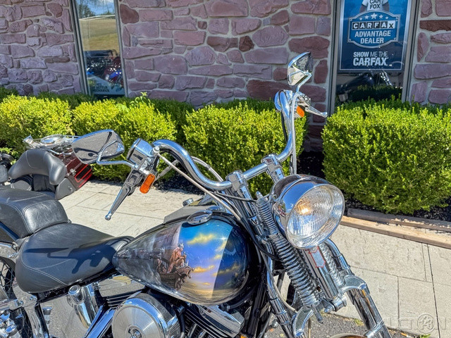 Springer® Softail®