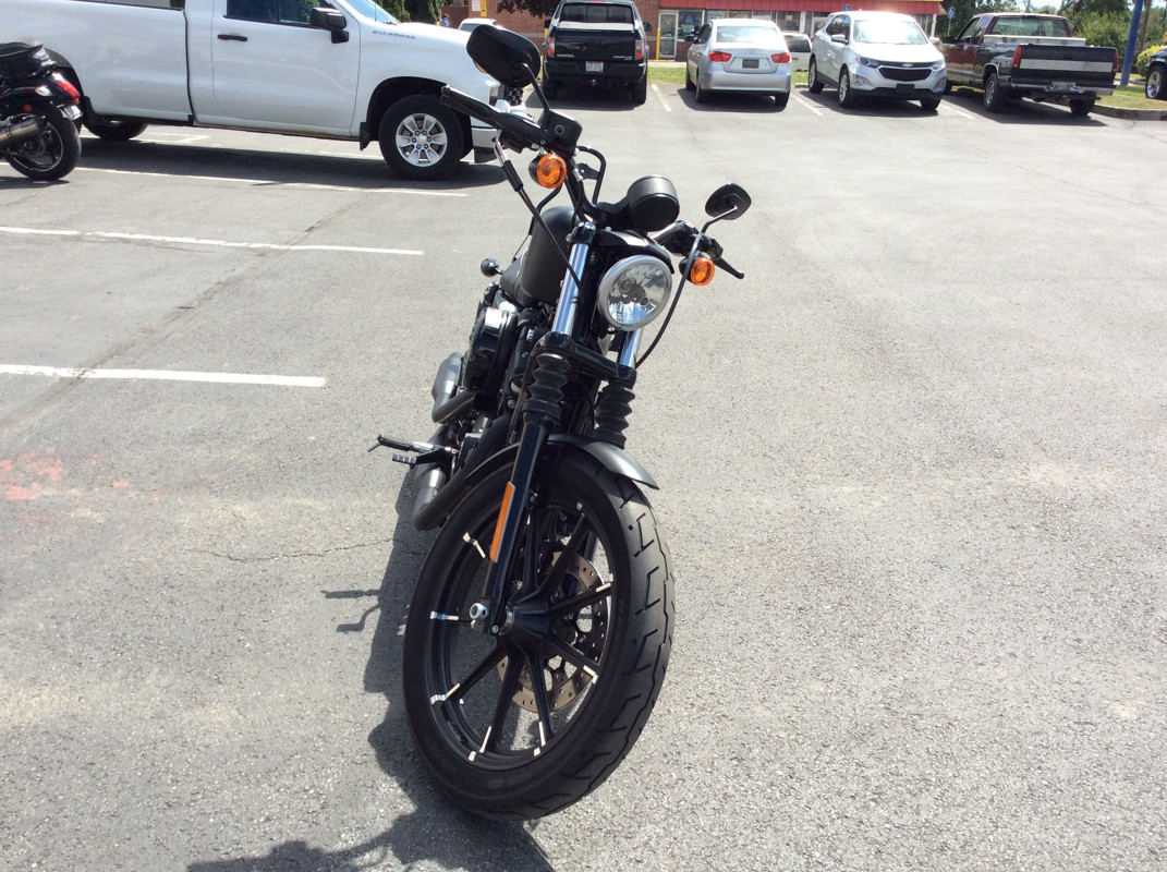 Sportster® Iron 883®