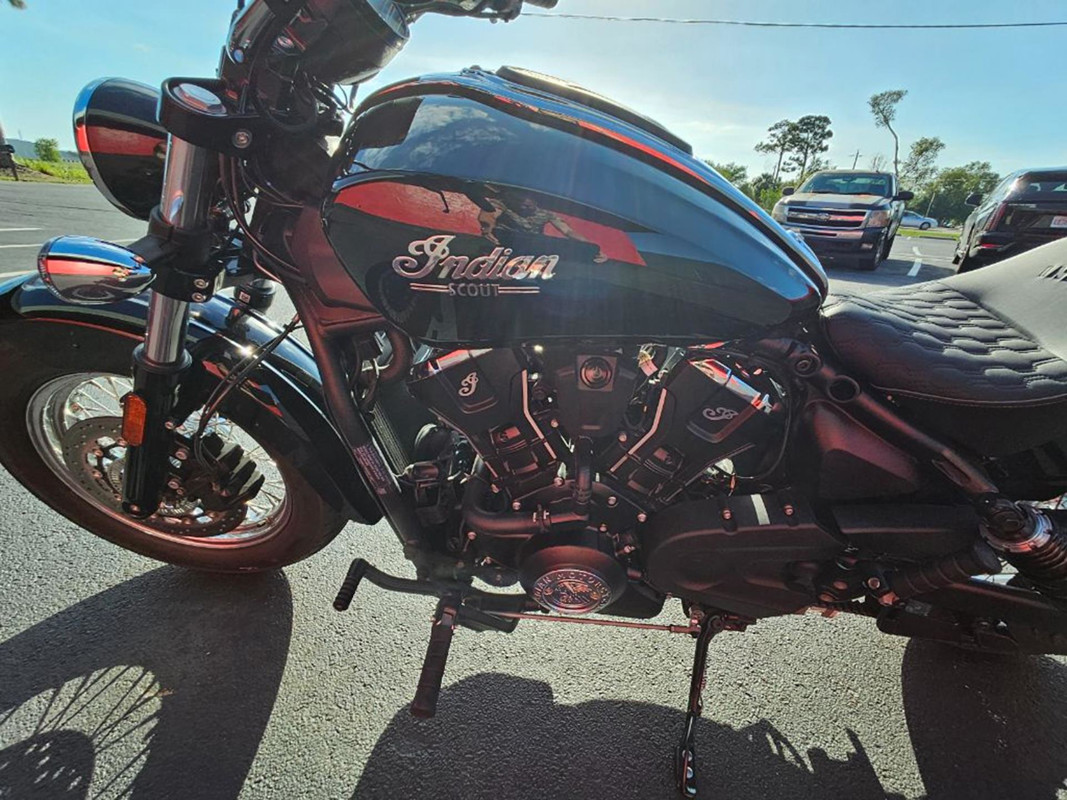 Scout Classic Limited