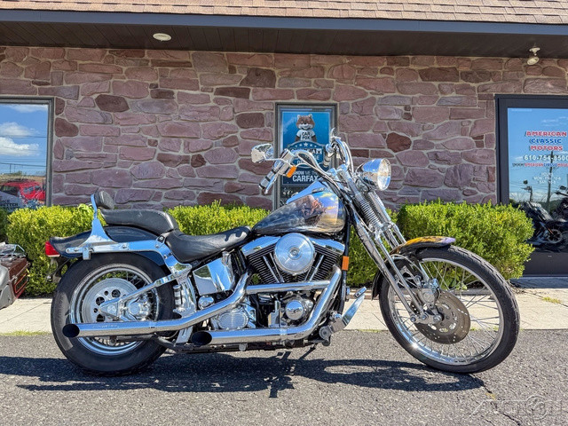 Springer® Softail®