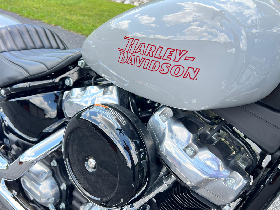 Softail® Standard