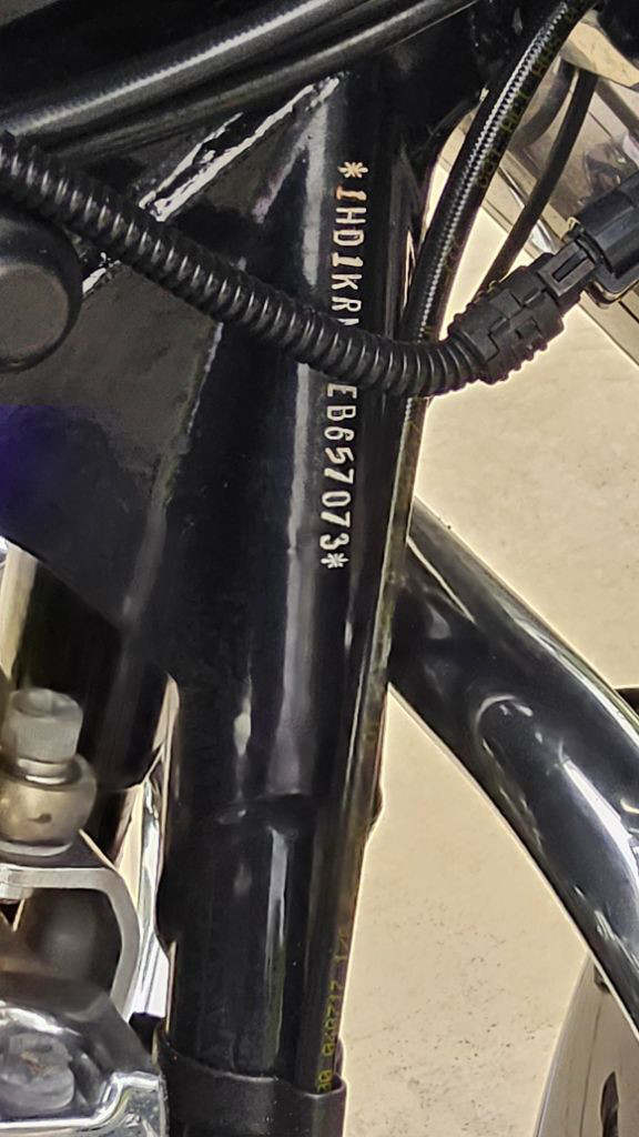 Street Glide® Special