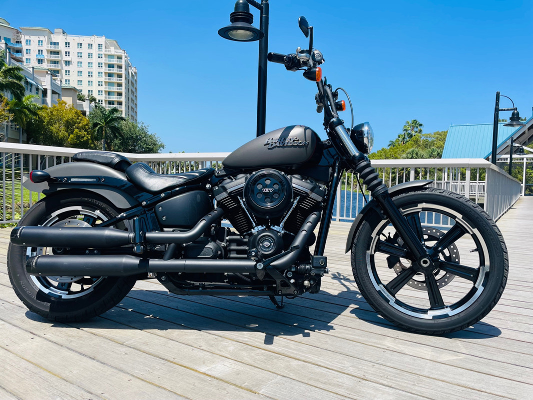 Softail® Street Bob®