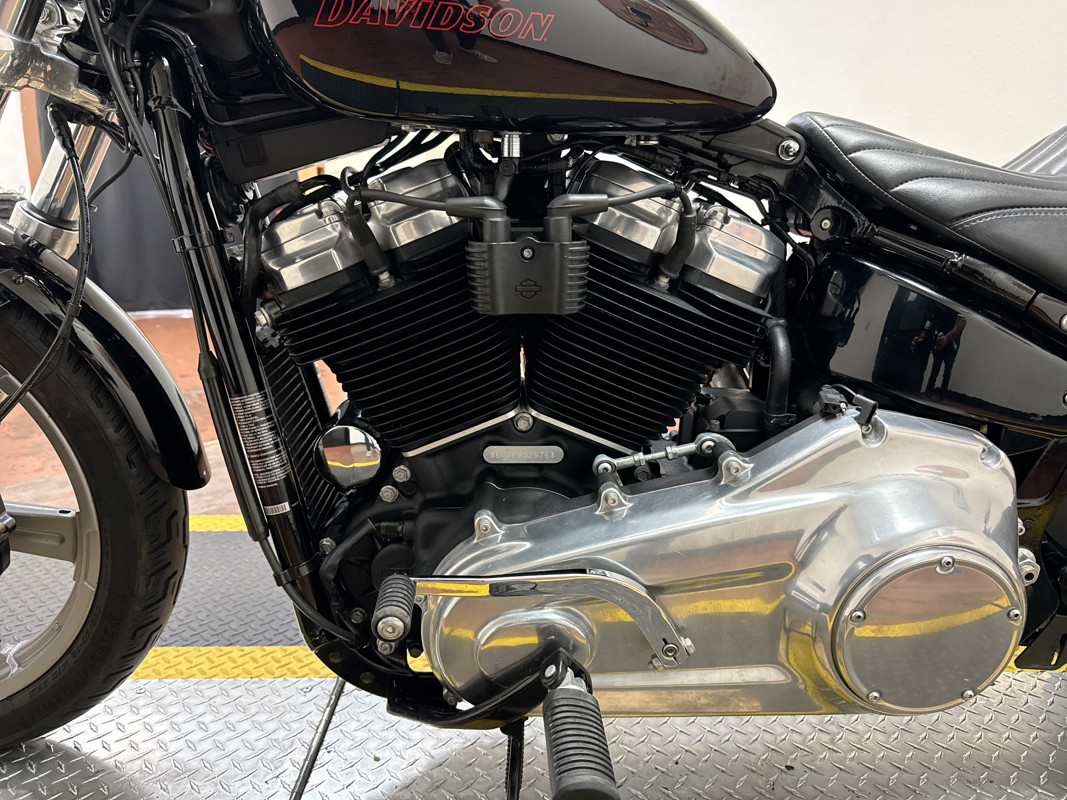 Softail® Standard