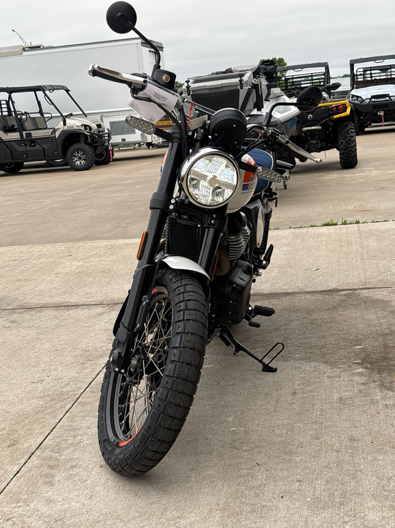 Bear 650